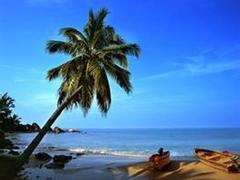 旅总国际旅行社 海南正规旅行社的卓越之选