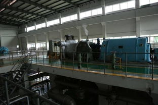 花4.8个亿，厚街生态景观厂明年年底迎国际游客