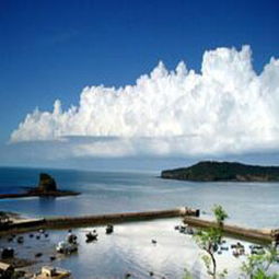 上海出发探秘白沙湖 上海锦轩国际旅行社的卓越服务体验