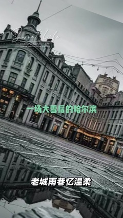 黑龙江民族国际旅行社 连接民族文化与国际旅行的桥梁